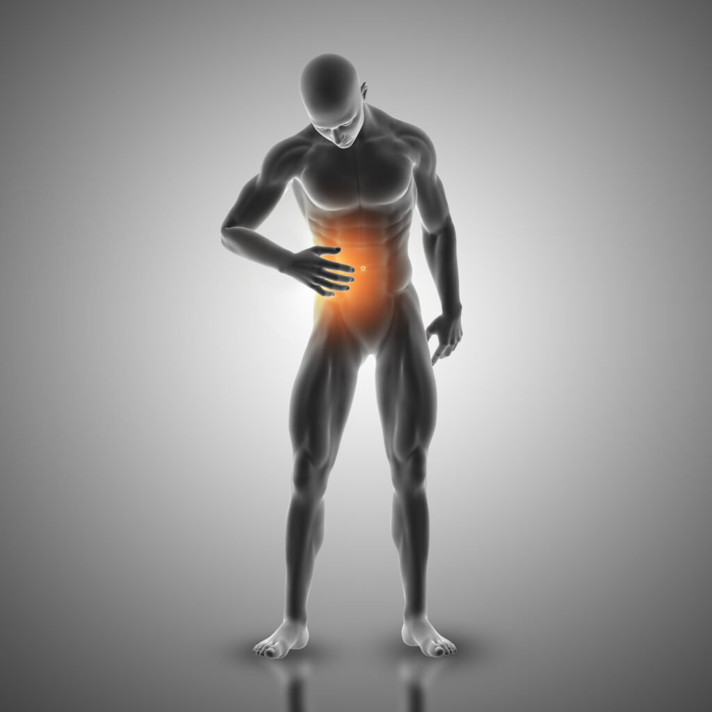 3D render of a male figure highlighting abdominal pain, representing kidney issues