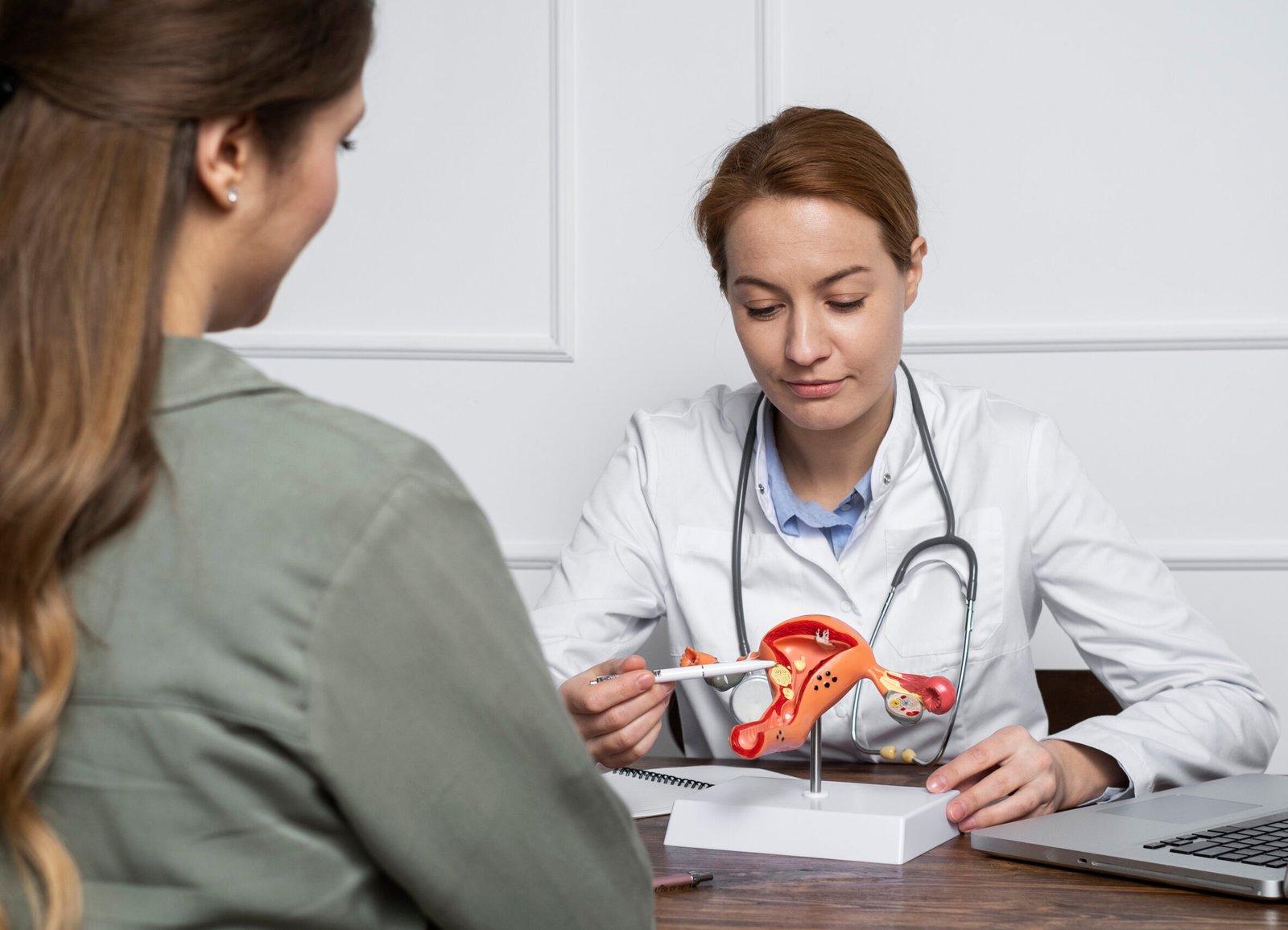 Female doctor explaining kidney-related treatment using an anatomical model during a patient consultation.